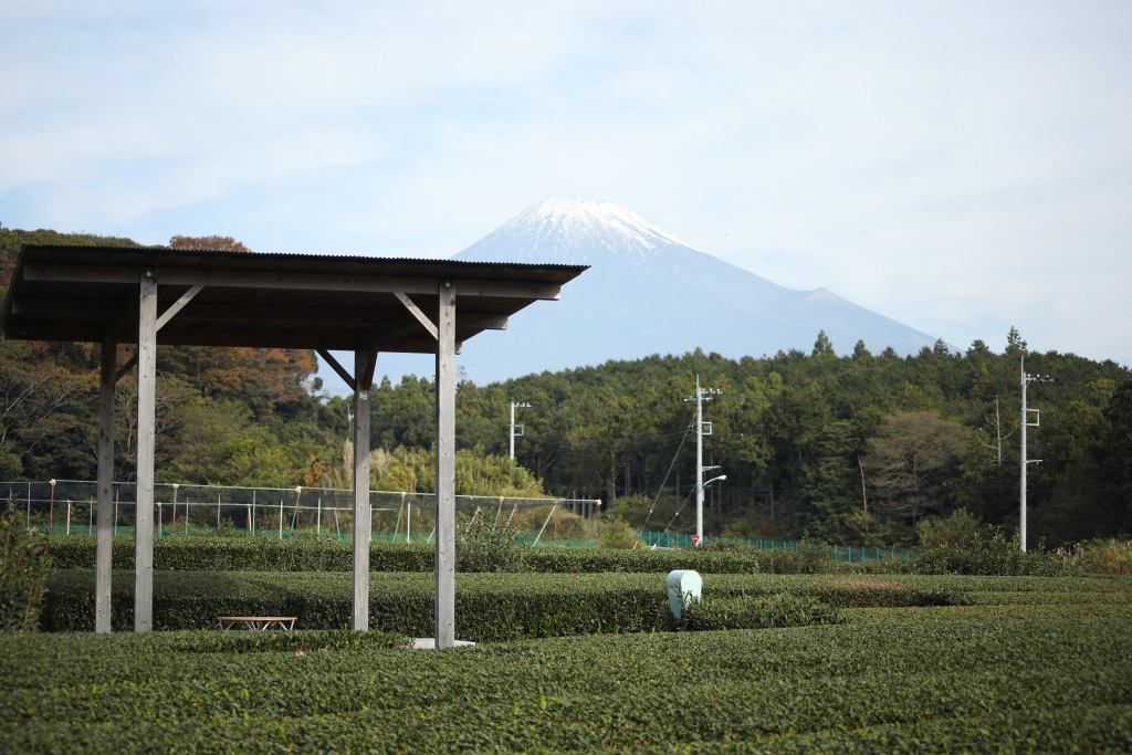 海と富士の茶の間からの富士山