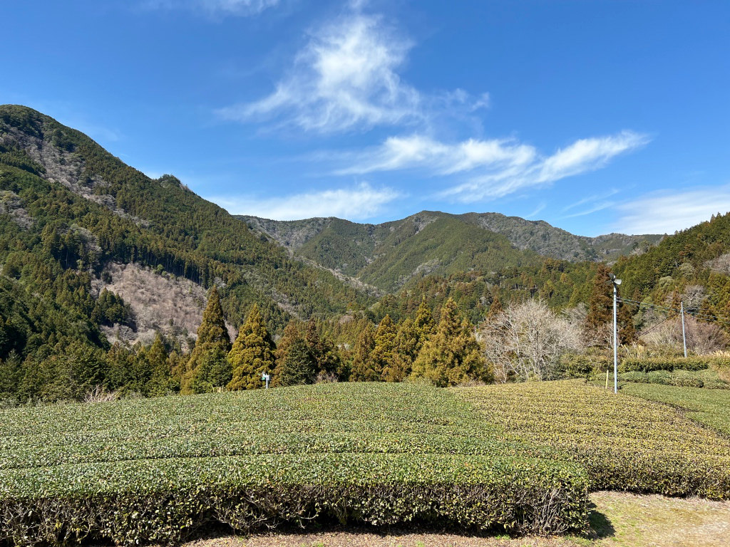 里山の茶の間周辺の景色